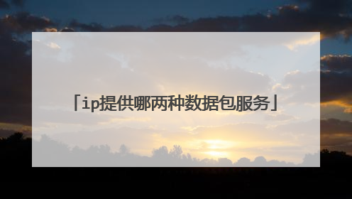ip提供哪两种数据包服务