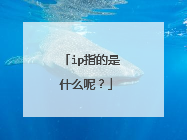 ip指的是什么呢？
