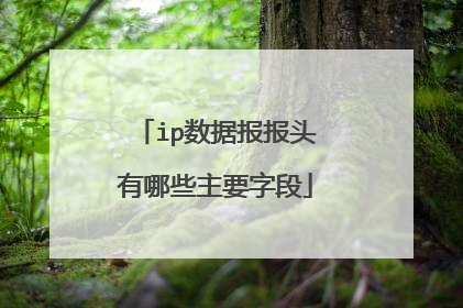 ip数据报报头有哪些主要字段