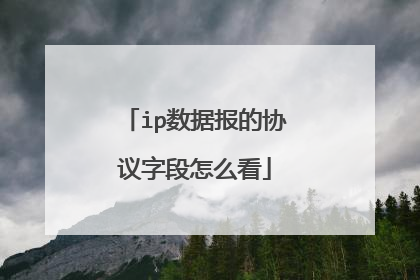ip数据报的协议字段怎么看