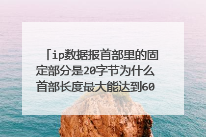 ip数据报首部里的固定部分是20字节为什么首部长度最大能达到60字节,不是比20大了