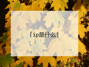 ip是什么