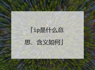 ip是什么意思、含义如何