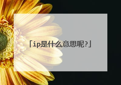 ip是什么意思呢?