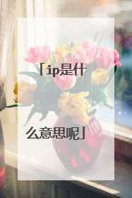 ip是什么意思呢
