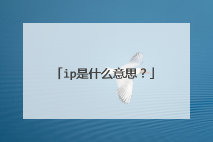 ip是什么意思?