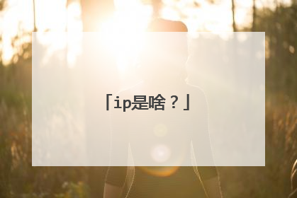 ip是啥？