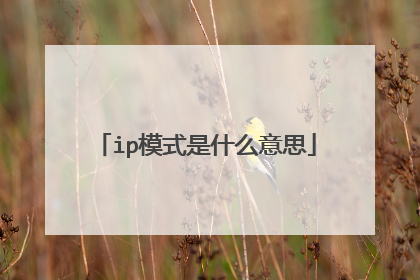 ip模式是什么意思