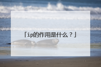ip的作用是什么？