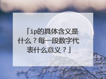 ip的具体含义是什么？每一段数字代表什么意义？