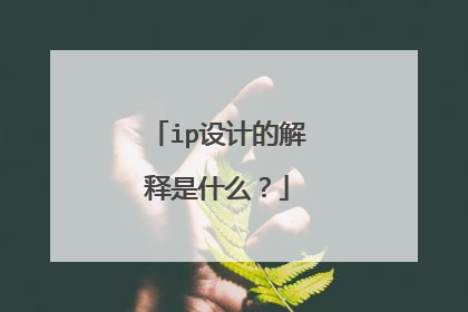 ip设计的解释是什么？
