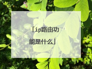 ip路由功能是什么