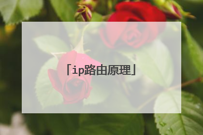 ip路由原理