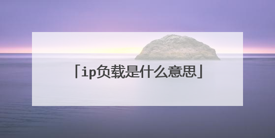 ip负载是什么意思