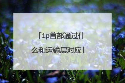 ip首部通过什么和运输层对应