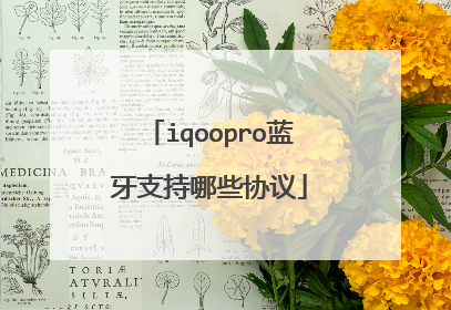 iqoopro蓝牙支持哪些协议