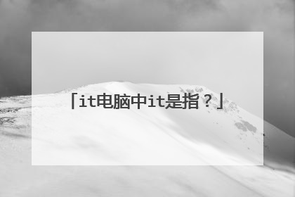 it电脑中it是指?