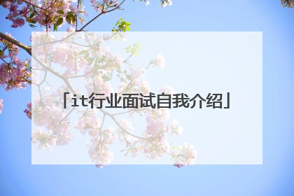 it行业面试自我介绍