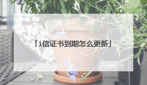 i信证书到期怎么更新