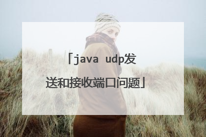 java udp发送和接收端口问题