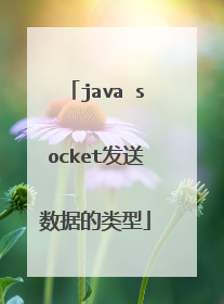 java socket发送数据的类型