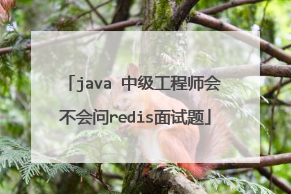 java 中级工程师会不会问redis面试题