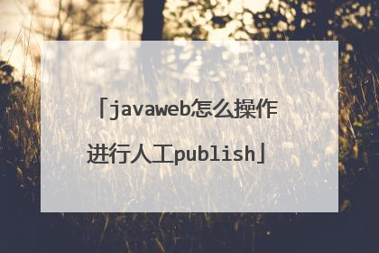 javaweb怎么操作进行人工publish