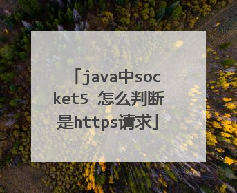java中socket5 怎么判断是https请求