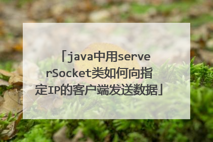 java中用serverSocket类如何向指定IP的客户端发送数据
