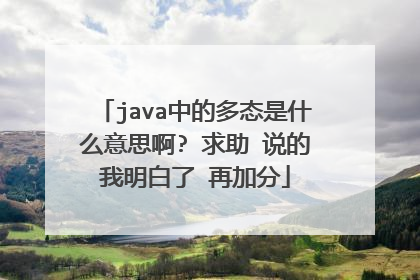 java中的多态是什么意思啊? 求助 说的我明白了 再加分