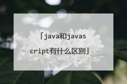 java和javascript有什么区别