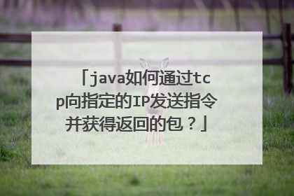 java如何通过tcp向指定的IP发送指令并获得返回的包？