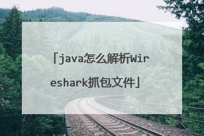 java怎么解析Wireshark抓包文件