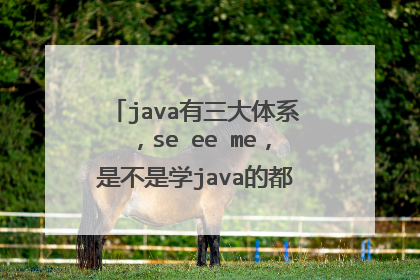 java有三大体系,se ee me,是不是学java的都要从se 开始学起