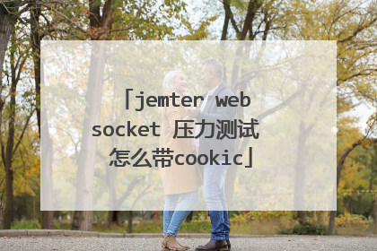 jemter websocket 压力测试 怎么带cookic
