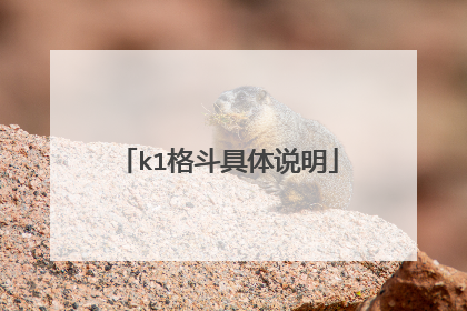 k1格斗具体说明