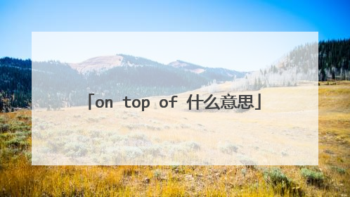 on top of 什么意思