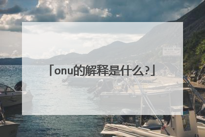 onu的解释是什么?