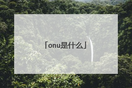 onu是什么