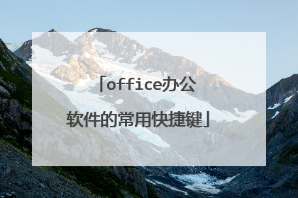 office办公软件的常用快捷键