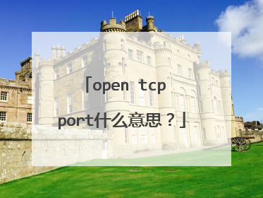 open tcp port什么意思？