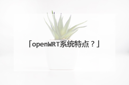 openWRT系统特点?