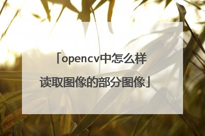 opencv中怎么样读取图像的部分图像