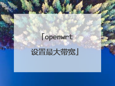 openwrt 设置最大带宽