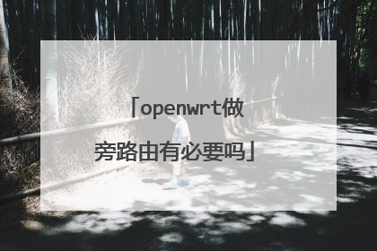 openwrt做旁路由有必要吗