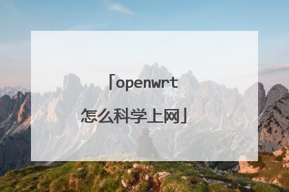 openwrt怎么科学上网
