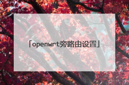 openwrt旁路由设置