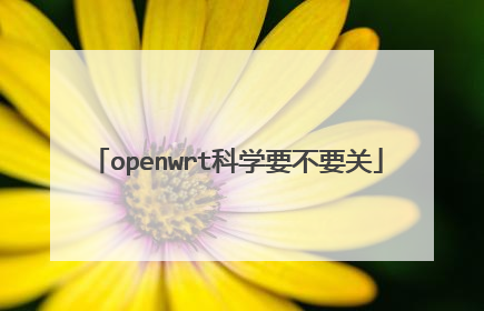 openwrt科学要不要关