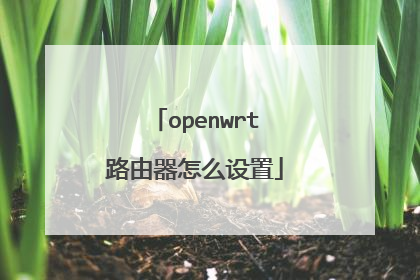 openwrt路由器怎么设置