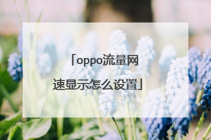 oppo流量网速显示怎么设置